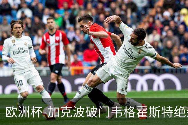 欧洲杯-加克波破门韦格霍斯特绝杀 荷兰2-1波兰